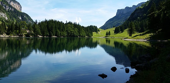 特色小鎮(zhèn)：關(guān)鍵在特色，魅力在特色，生命力在特色——特色小鎮(zhèn)國(guó)